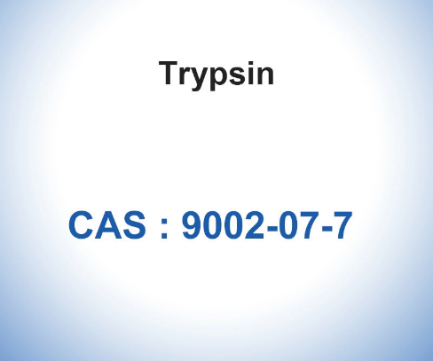 CAS 9002-07-7 Biological Catalysts Enzymes 7.6 pH Trypsin From Porcine Pancreas