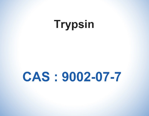 Trypsin 1:250 Biological Catalysts Enzymes 7.6 pH CAS 9002-07-7