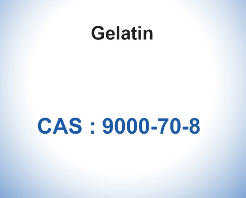Teleostean Gelatin Powder Absorbable Gelatin Sponge Thickener CAS 9000-70-8