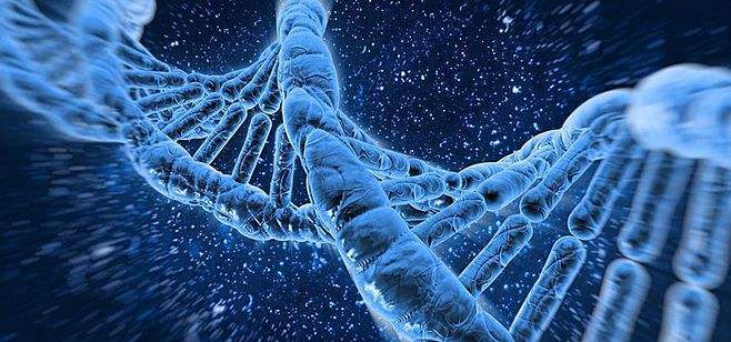 Why can't IPTG  cas:367-93-1  induced proteins be induced? The reason for Auman's biological analysis!