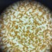 Full of nutrition Consistent Brine Shrimp Eggs Aral Sea artemia cysts