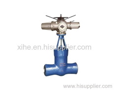 Class 2500 Industrial Valve