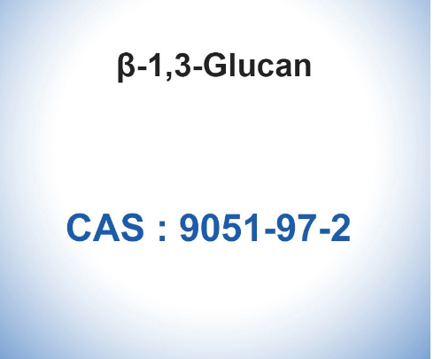 β-1 3-Glucan From Euglena Gracilis CAS 9051-97-2 Paramylon