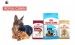 Royal Canin Per Food Dry Pet Food Wet Food Pet Treats