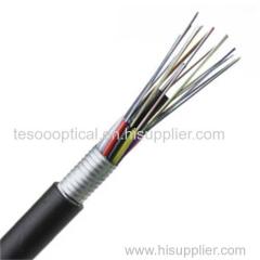Introduction of Anti-rodent Fiber Optic Cable