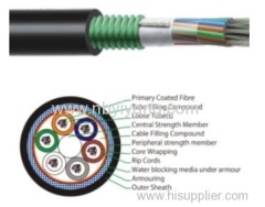 Cable de Optique CFO 00002