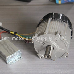 electric lawn mower motor