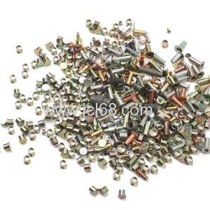 Rivets of Steel Aluminum Copper for Auto parts