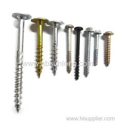 Torx Star & Philips Drive Self-Tapping SS304 Stainless Steel Wood Deck and Chipboard Screw