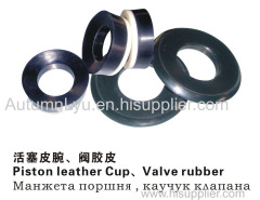 Piston Assembly valve assembly