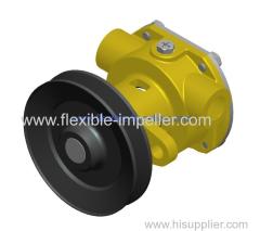 New raw sea water pump replace Sherwood G910P / JMP JPR-KL10IP