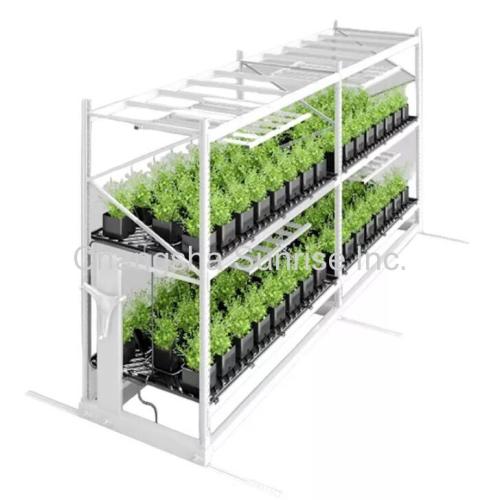 Hydroponic Ebb And Flow Grow Table Greenhouse Rolling Benches Vertical Growing Racks Customizable with Factory Offer