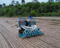 12 Rows Rice Direct Seeding and Fertilizing Machine