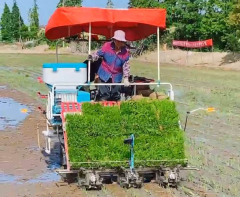 Rice Deep Placement of Fertilizer Machine for Kubota Yanmar Lovol Rice Transplanter