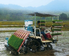 Rice Deep Placement of Fertilizer Machine for Kubota Yanmar Lovol Rice Transplanter