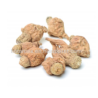 Maca Root Extract Powder