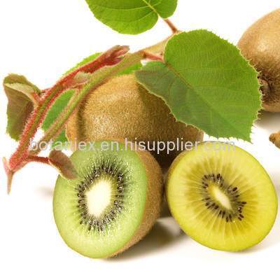 Kiwi Fruit Powder Extract 10:1 20:1