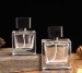 30ml 50ml 100ml Square Empty Highly Clear Perfume Glass Bottles with Caps