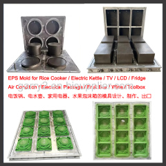 Expanded Polystyrene Mold Aluminum Casting Mold Polyfoam Mold for Vacuum Cleaner TV Electrical Package Wine Bottle