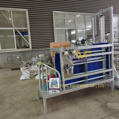 Pigs pneumatic stunning box for meat processing hog slaughtering line