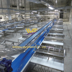 slaughterhouse equipment supplier meat processing machine