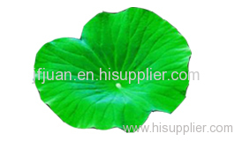 Lotus leaf extract Gyllium extract Codonopsis extract Senna leaf extract