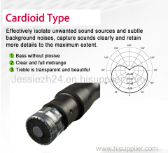 Yitesim True Diversity Dual Channels UHF Wireless microphone