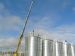 Grain Storage Steel Silo 10t 50t 100t 1000t