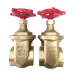 Factory Direct Wholesale BS5154 Cc491K Pn20 DN50 DN80 Non-Rising Stem Bronze Gate Valve