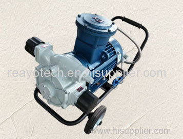 Anti-explosion Fuel Pump Oil Transfer Pump