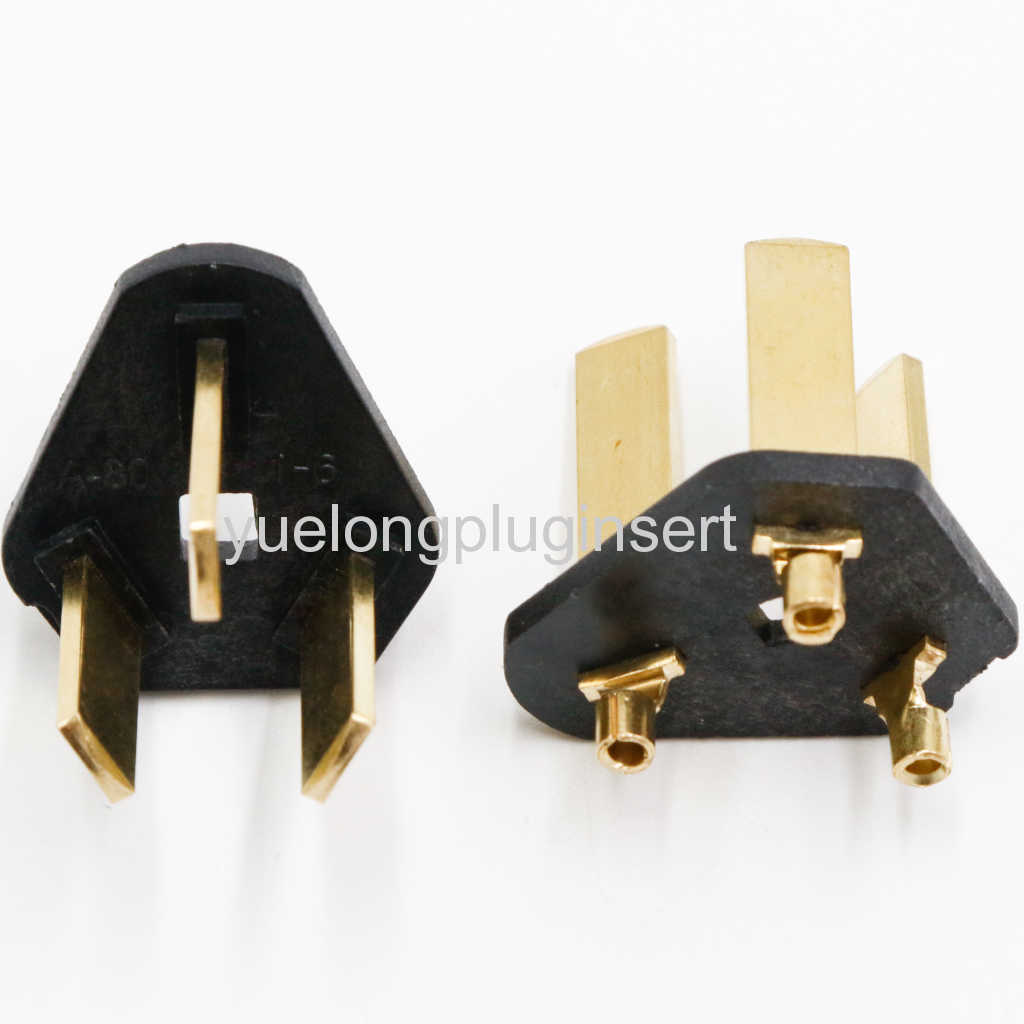 10A Argentina Plug insert