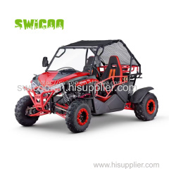 230cc Automatic Twin Seat Off Road Buggy Dune Buggy Two-person Off Road Go Kart