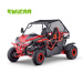 230cc Automatic Twin Seat Off Road Buggy Dune Buggy Two-person Off Road Go Kart