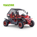 230cc Automatic Twin Seat Off Road Buggy Dune Buggy Two-person Off Road Go Kart