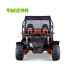 230cc Automatic Twin Seat Off Road Buggy Dune Buggy Two-person Off Road Go Kart