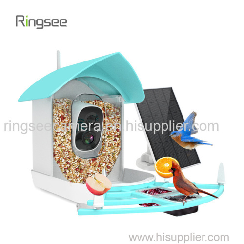 Ringsee Bird feeder with camera AI Identify Birds Smart Birds Camera with Solar Powered