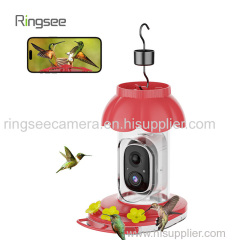 Ringsee Bird Feeders for Outdoors Bird Feeder with Camera Smart Bird Feeder Cameras