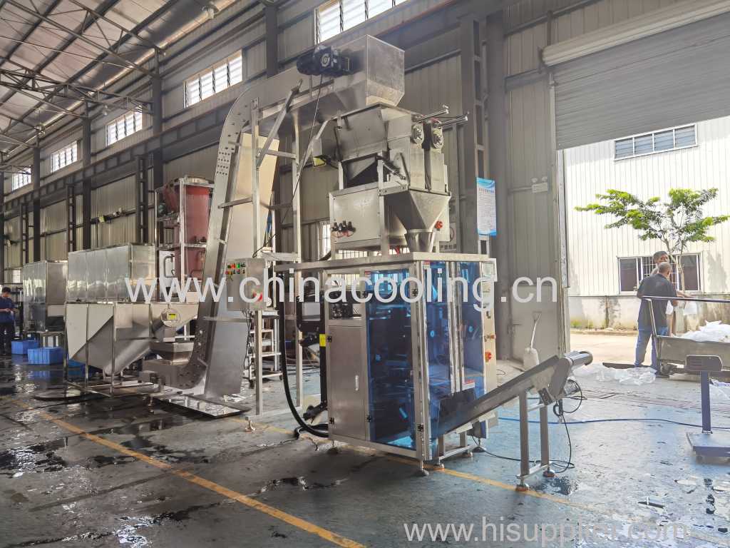 Automatic Tube Ice Packaging Machine