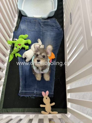 Durable Plastic Dog Playpen Pet Pen for Puppies Cats Rabbits Ferrets Easy to Assemble and clean stylish design