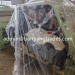 Used Buhler Swiss Original Roller Mill MDDK Manufacture Year 1997