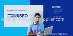 Binomialtree SEO