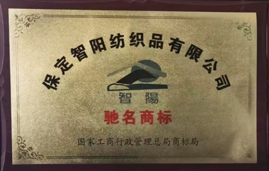 Honor6