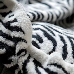Multifunctional Blanket