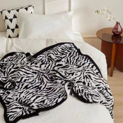 Multifunctional Blanket 2