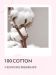 100% Cotton Combed Cotton 4-Piece Bedding Set Soft Breathable & Durable Bed Sheet Set