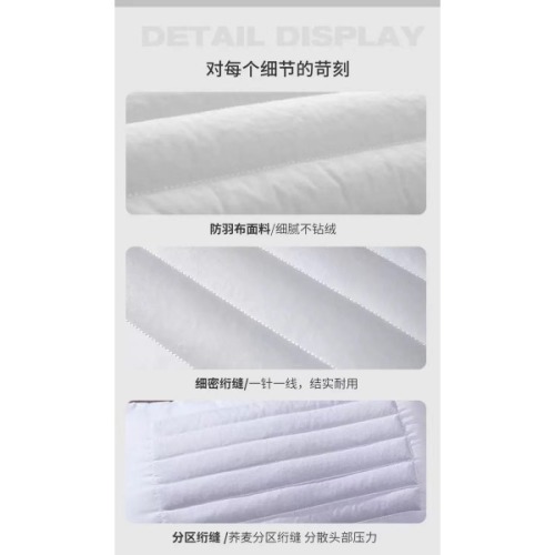 Buckwheat Pillow Dual Use Ergonomic Neck Support Hotel Quality Orthopedic Pillow for Adults and Students