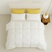100% Cotton Anti-Feather Fabric Quilt Core Hotel and Home Use Soft Durable Comforter Insert
