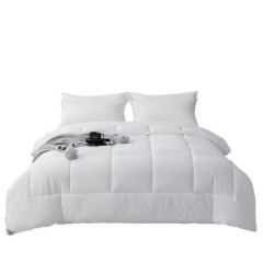 All Season Quilt Insert Summer Cooling Blanket Spring Autumn Comforter Winter Thickened Duvet for Single and Double Bed