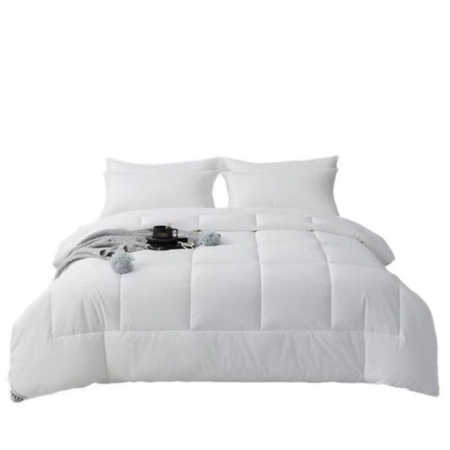 All Season Quilt Insert Summer Cooling Blanket Spring Autumn Comforter Winter Thickened Duvet for Single and Double Bed