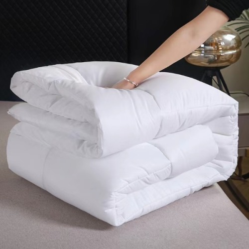 All Season Quilt Insert Summer Cooling Blanket Spring Autumn Comforter Winter Thickened Duvet for Single and Double Bed